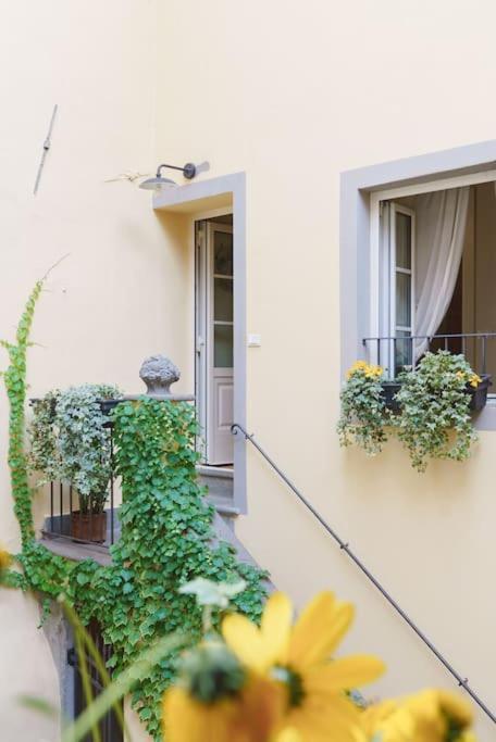 Corte Paolina - Charming Courtyard Inside Лукка Екстер'єр фото