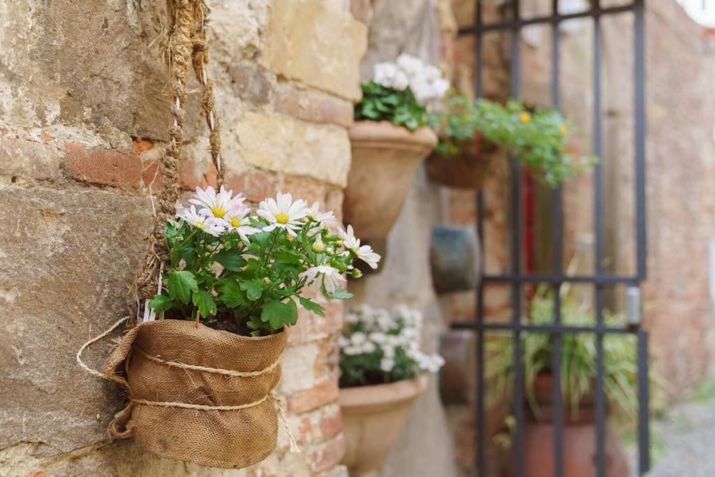 Corte Paolina - Charming Courtyard Inside Лукка Екстер'єр фото