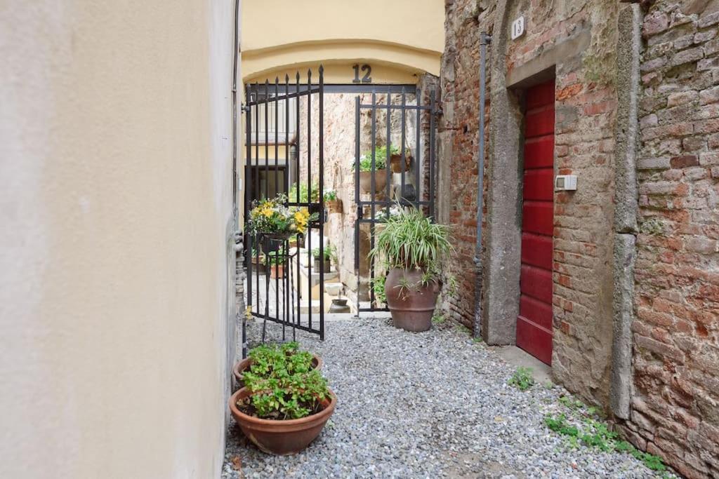 Corte Paolina - Charming Courtyard Inside Лукка Екстер'єр фото