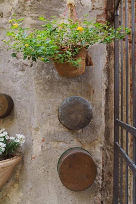 Corte Paolina - Charming Courtyard Inside Лукка Екстер'єр фото